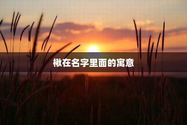 楸在名字里面的寓意
