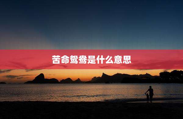 苦命鸳鸯是什么意思