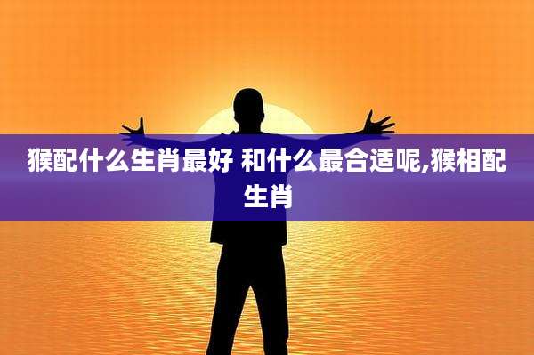 猴配什么生肖最好 和什么最合适呢,猴相配生肖
