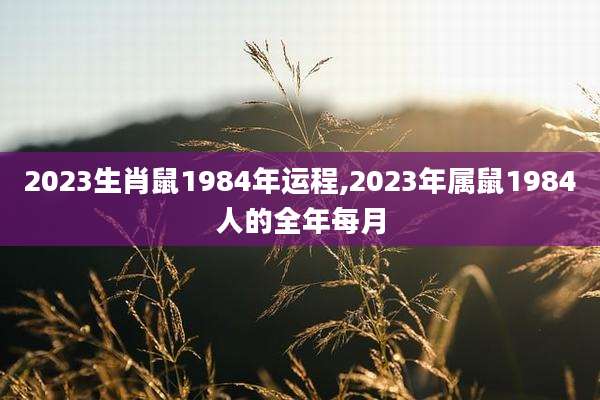 2023生肖鼠1984年运程,2023年属鼠1984人的全年每月