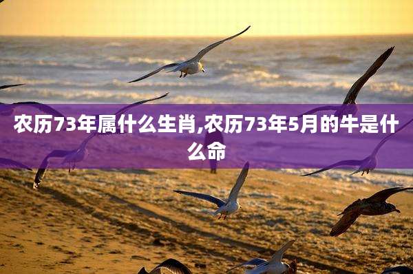 农历73年属什么生肖,农历73年5月的牛是什么命