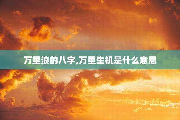 万里浪的八字,万里生机是什么意思