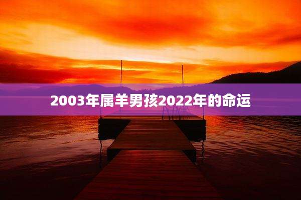 2003年属羊男孩2022年的命运