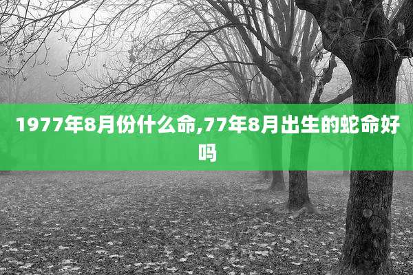 1977年8月份什么命,77年8月出生的蛇命好吗