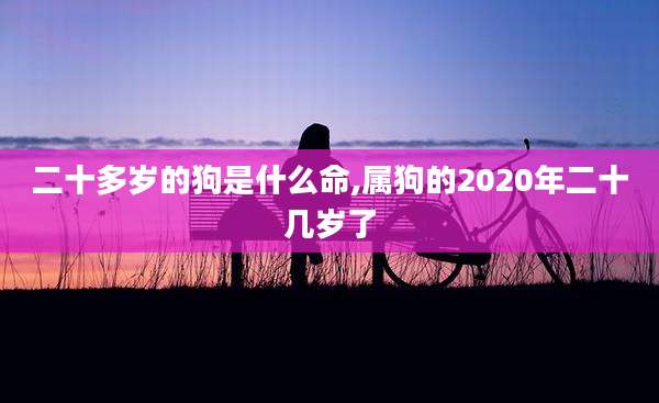 二十多岁的狗是什么命,属狗的2020年二十几岁了