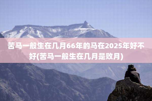 苦马一般生在几月66年的马在2025年好不好(苦马一般生在几月是败月)