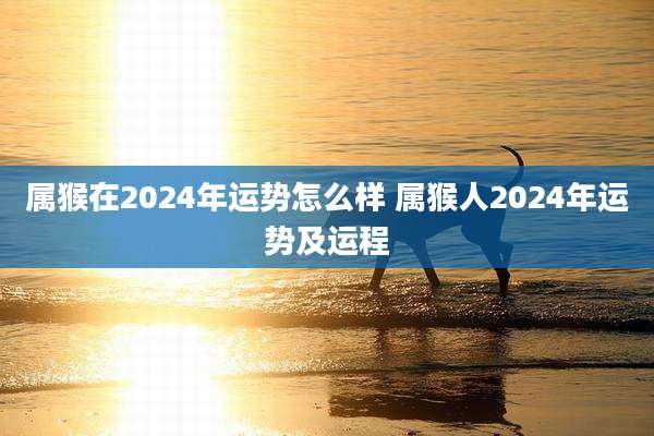 属猴在2024年运势怎么样 属猴人2024年运势及运程
