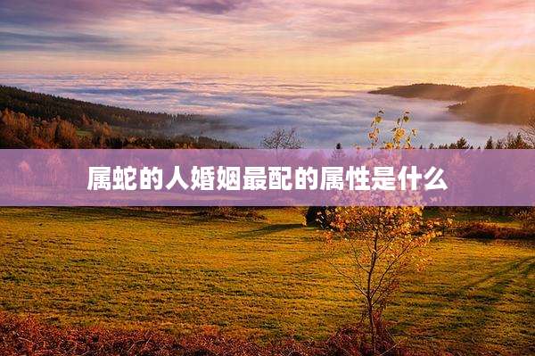 属蛇的人婚姻最配的属性是什么