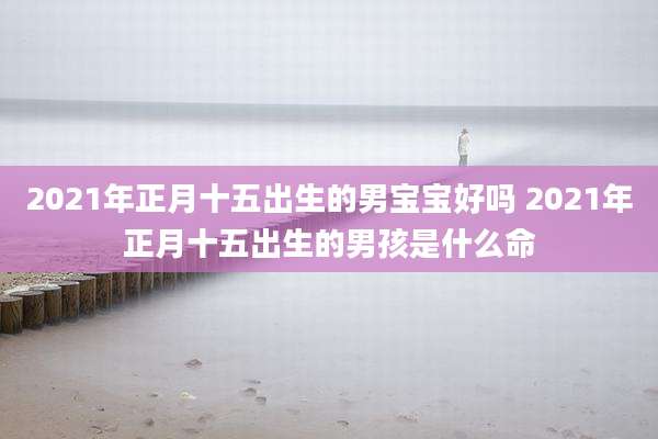 2021年正月十五出生的男宝宝好吗 2021年正月十五出生的男孩是什么命
