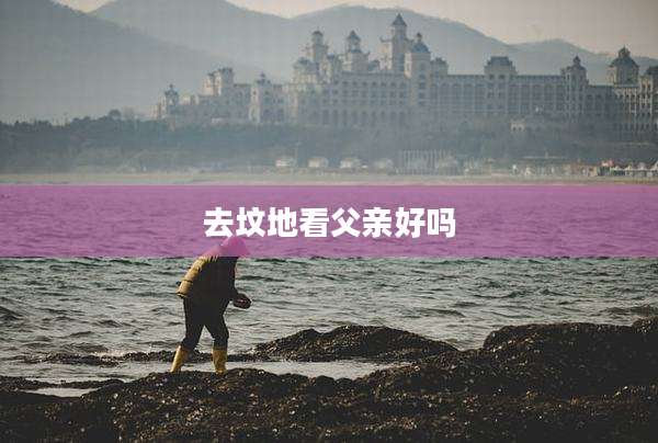 去坟地看父亲好吗