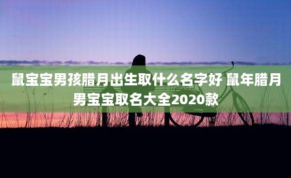 鼠宝宝男孩腊月出生取什么名字好 鼠年腊月男宝宝取名大全2020款