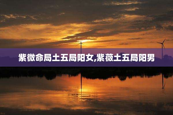 紫微命局土五局阳女,紫薇土五局阳男