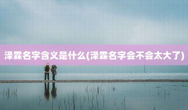 泽霖名字含义是什么(泽霖名字会不会太大了)