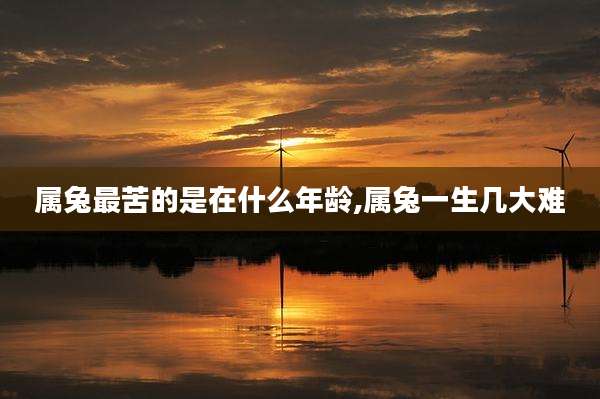 属兔最苦的是在什么年龄,属兔一生几大难