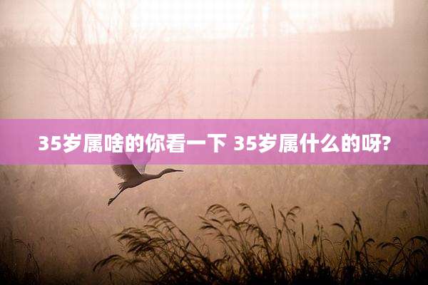 35岁属啥的你看一下 35岁属什么的呀?