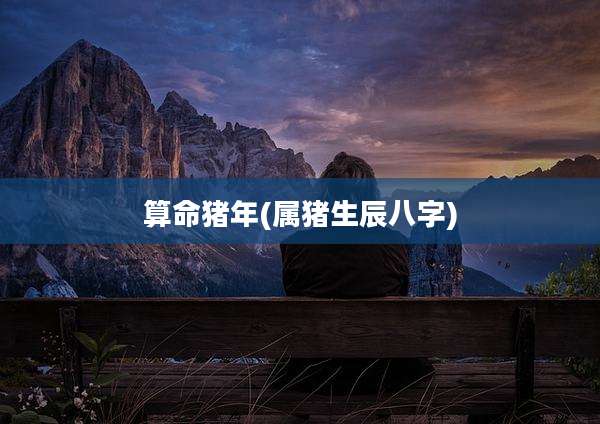 算命猪年(属猪生辰八字)