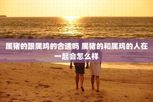 属猪的跟属鸡的合适吗 属猪的和属鸡的人在一起会怎么样