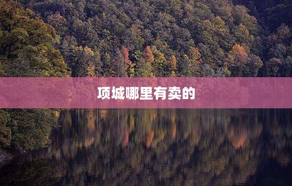 项城哪里有卖的