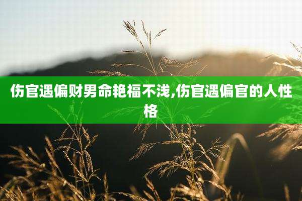 伤官遇偏财男命艳福不浅,伤官遇偏官的人性格