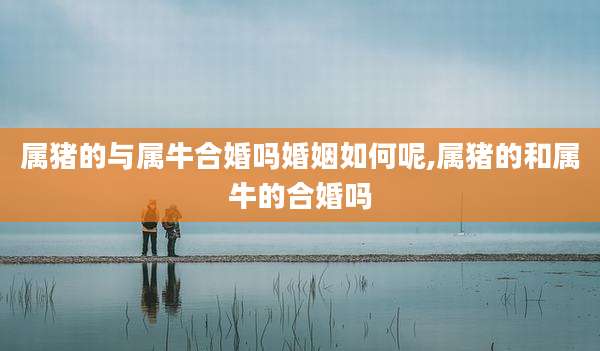属猪的与属牛合婚吗婚姻如何呢,属猪的和属牛的合婚吗