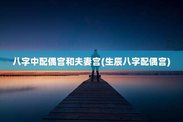 八字中配偶宫和夫妻宫(生辰八字配偶宫)