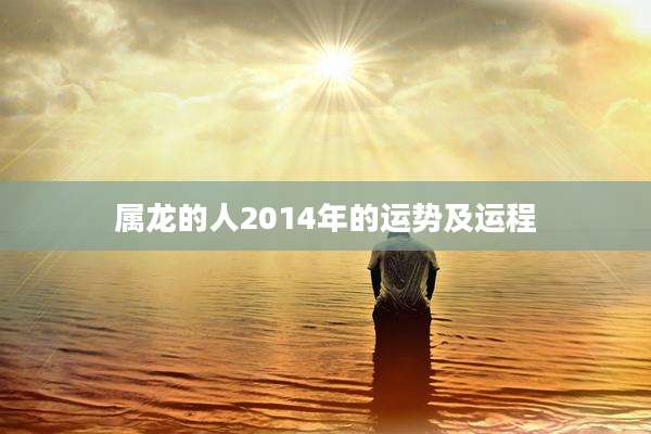 属龙的人2014年的运势及运程