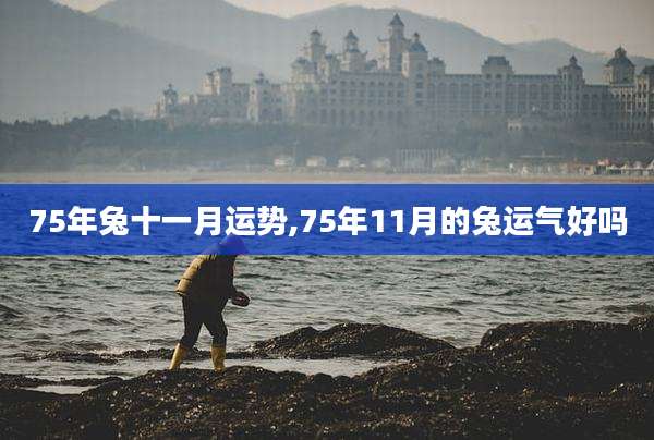 75年兔十一月运势,75年11月的兔运气好吗