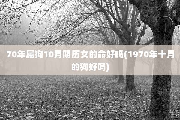 70年属狗10月阴历女的命好吗(1970年十月的狗好吗)
