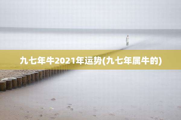 九七年牛2021年运势(九七年属牛的)
