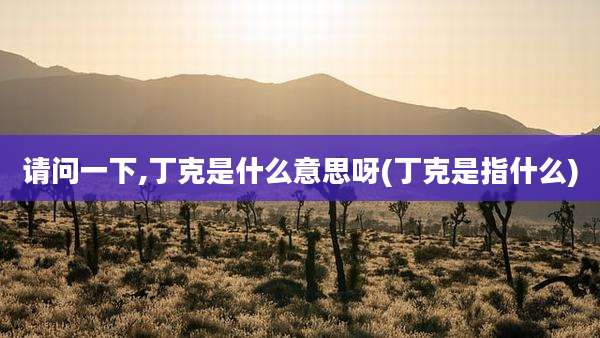 请问一下,丁克是什么意思呀(丁克是指什么)