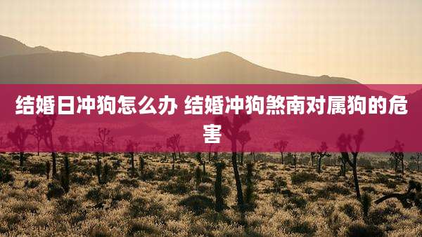 结婚日冲狗怎么办 结婚冲狗煞南对属狗的危害