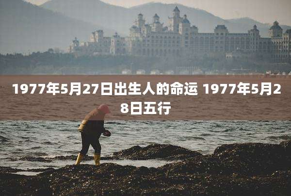 1977年5月27日出生人的命运 1977年5月28日五行