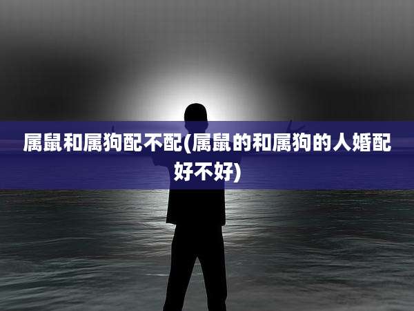 属鼠和属狗配不配(属鼠的和属狗的人婚配好不好)
