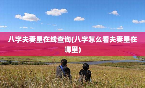 八字夫妻星在线查询(八字怎么看夫妻星在哪里)