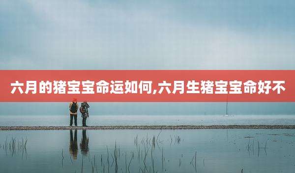 六月的猪宝宝命运如何,六月生猪宝宝命好不