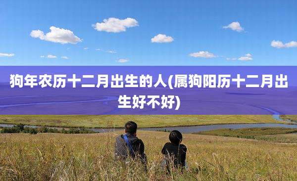 狗年农历十二月出生的人(属狗阳历十二月出生好不好)