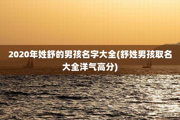 2020年姓舒的男孩名字大全(舒姓男孩取名大全洋气高分)