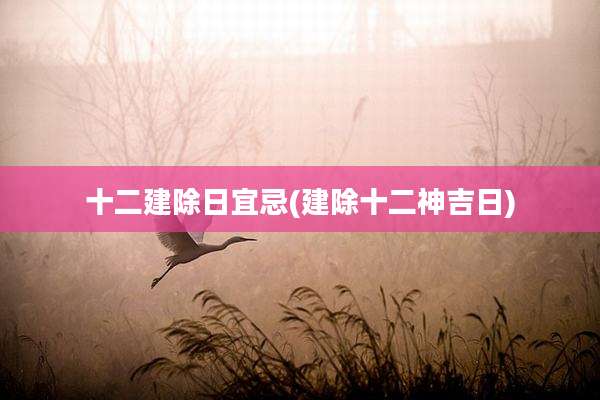 十二建除日宜忌(建除十二神吉日)