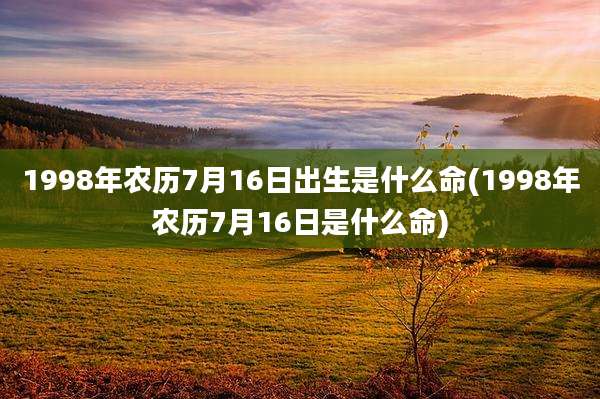 1998年农历7月16日出生是什么命(1998年农历7月16日是什么命)