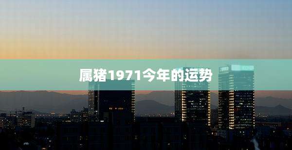 属猪1971今年的运势