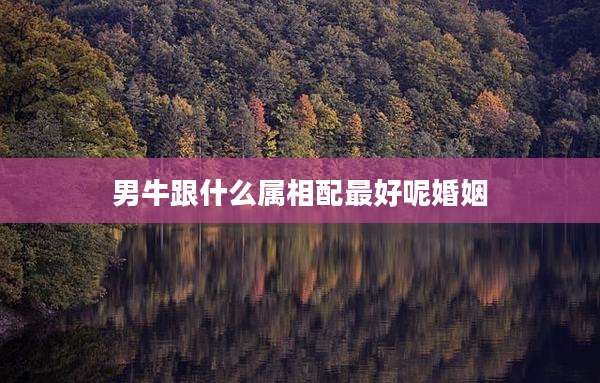 男牛跟什么属相配最好呢婚姻