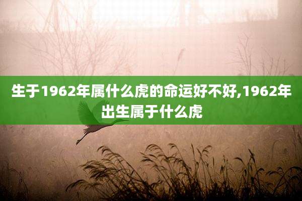 生于1962年属什么虎的命运好不好,1962年出生属于什么虎