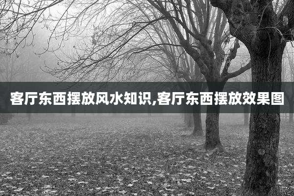 客厅东西摆放风水知识,客厅东西摆放效果图