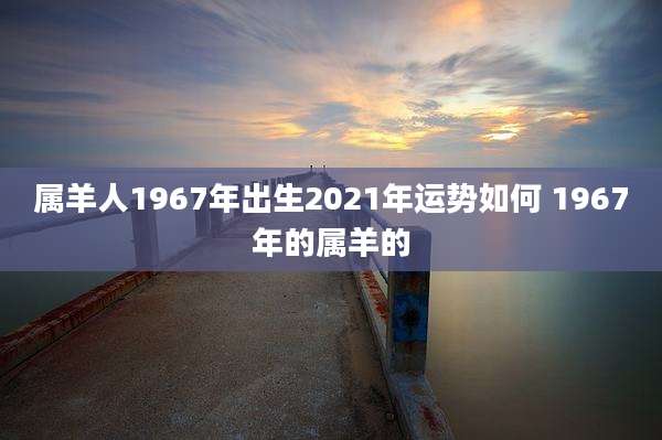 属羊人1967年出生2021年运势如何 1967年的属羊的