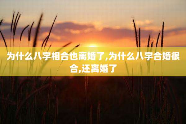 为什么八字相合也离婚了,为什么八字合婚很合,还离婚了
