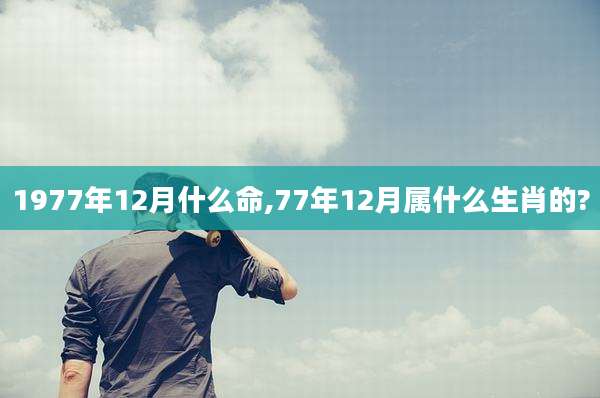 1977年12月什么命,77年12月属什么生肖的?
