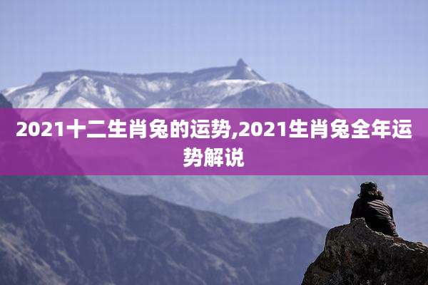 2021十二生肖兔的运势,2021生肖兔全年运势解说