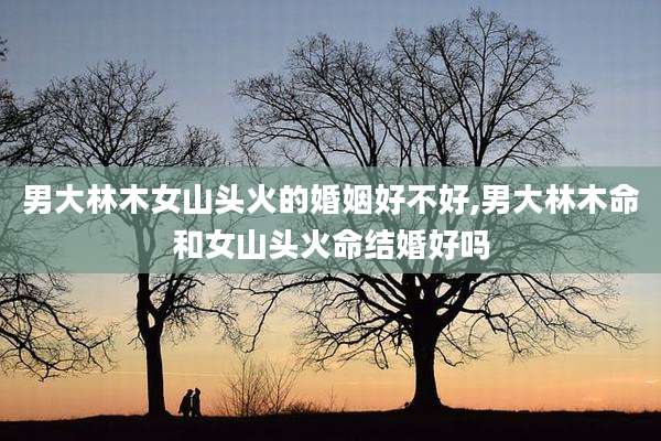 男大林木女山头火的婚姻好不好,男大林木命和女山头火命结婚好吗