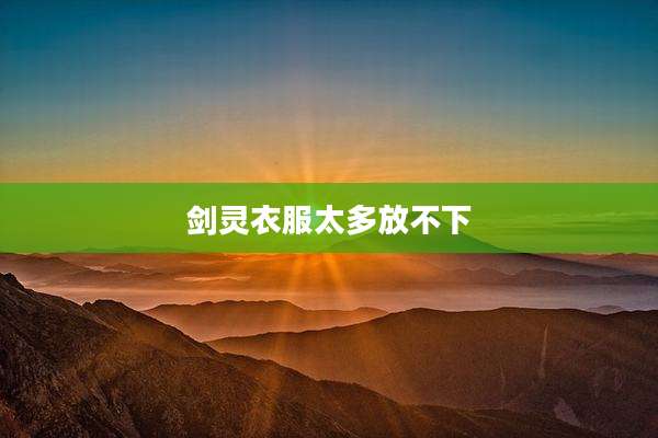 剑灵衣服太多放不下