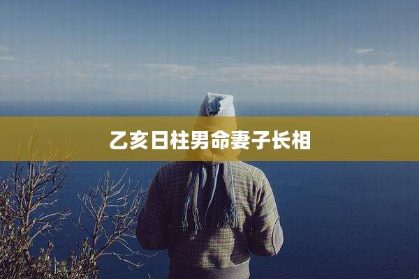 乙亥日柱男命妻子长相
